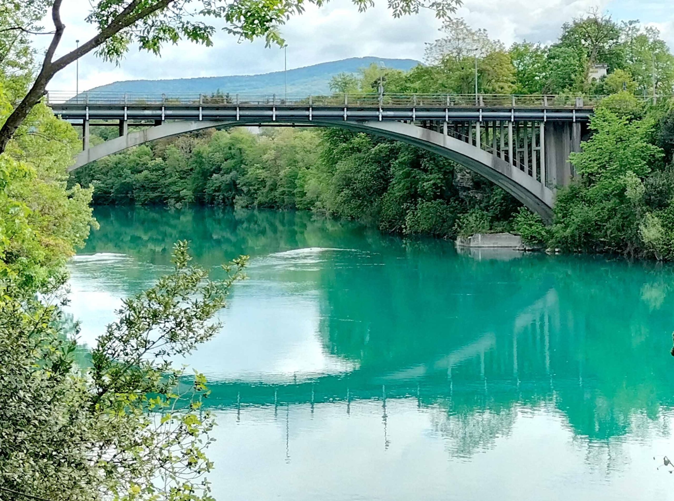 Una mostra senza confini 2